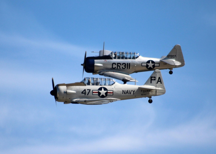 泰国航空标志(泰国航空标志的由来) 泰国航空标志(泰国航空标志的由来)