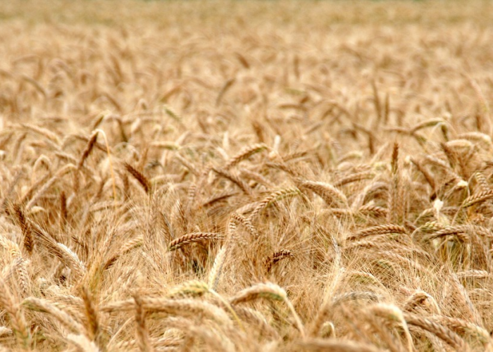 攸县贰月捌日疫情态势全景解析,动态清单背后的坚守与期盼 攸县贰月捌日疫情态势全景解析,动态清单背后的坚守与期盼