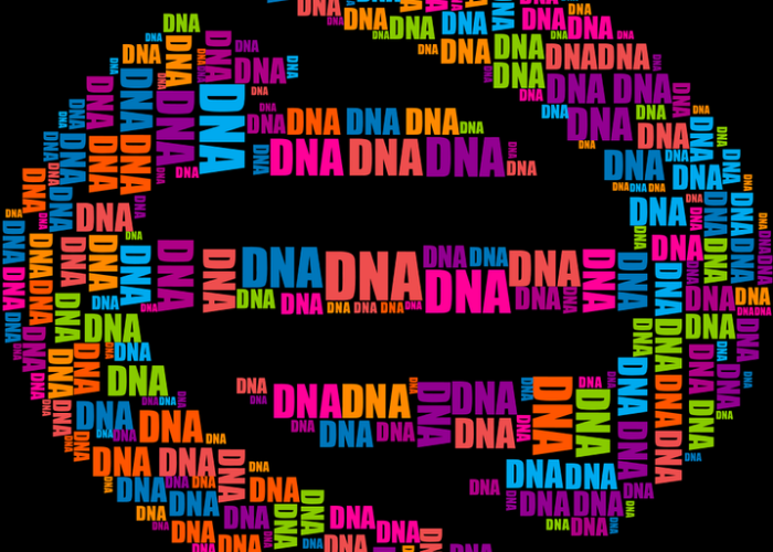 【北京新冠核酸检测费用大约是多少/北京核酸检测费用标准】