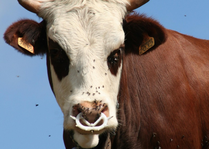 限号轮换时间2021年1月份/限号轮换时间2019