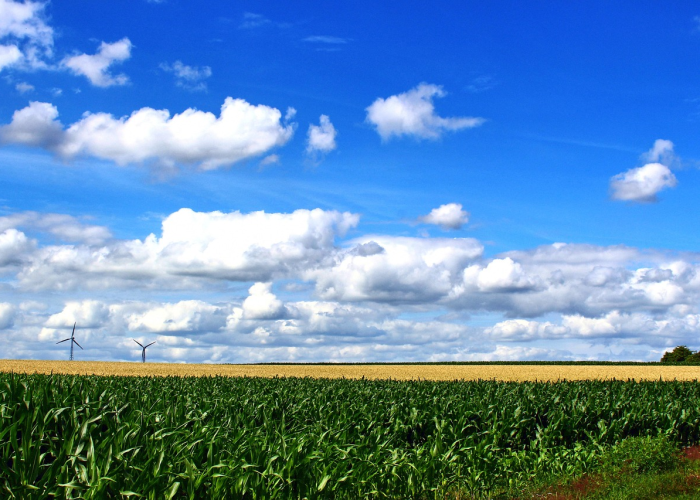 张家口新型病毒:张家口新冠 张家口新型病毒:张家口新冠