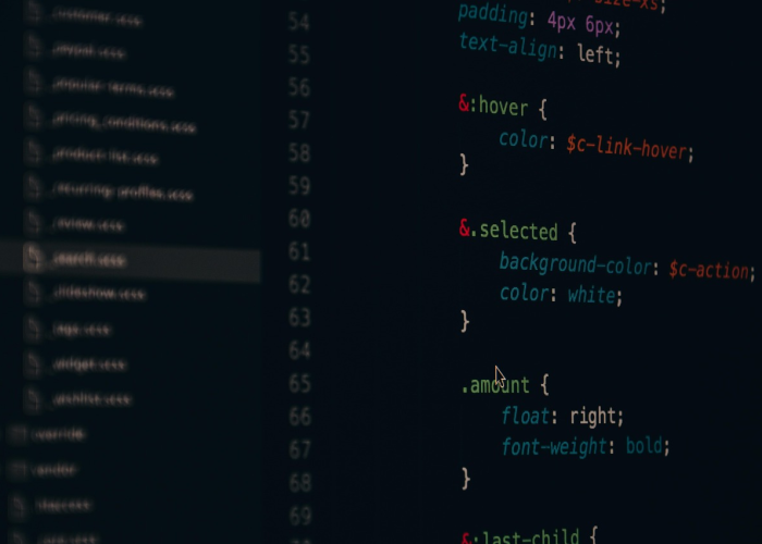 新冠病毒知识总结:新冠病毒知识总结100字