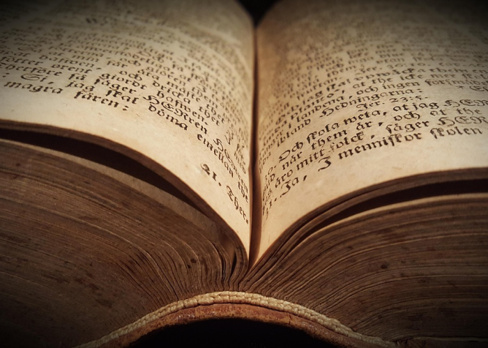 广州南沙疫情动态全解析，精准防控下的区域协同与新常态应对