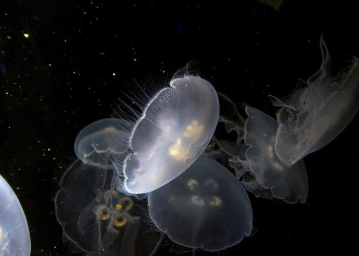 核酸检测阴性阳性?（核酸检测阴性阳性有症状吗）