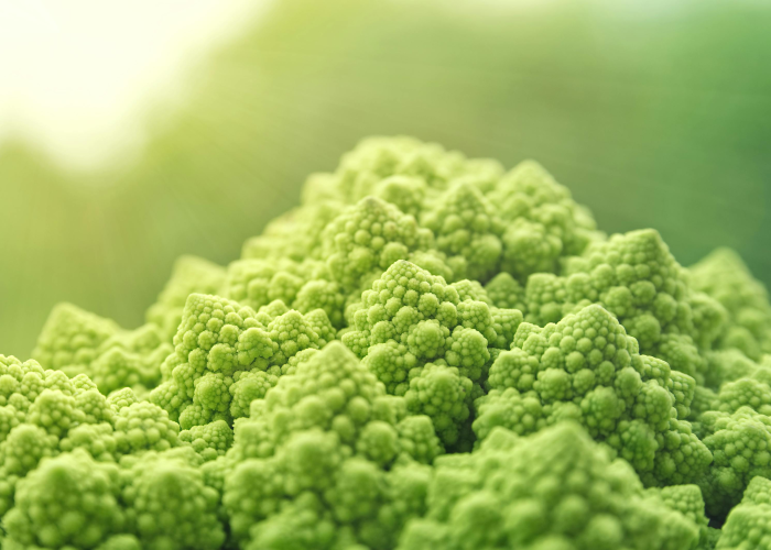 北京乐活城，高端有机蔬菜的品质革命与生活新主张