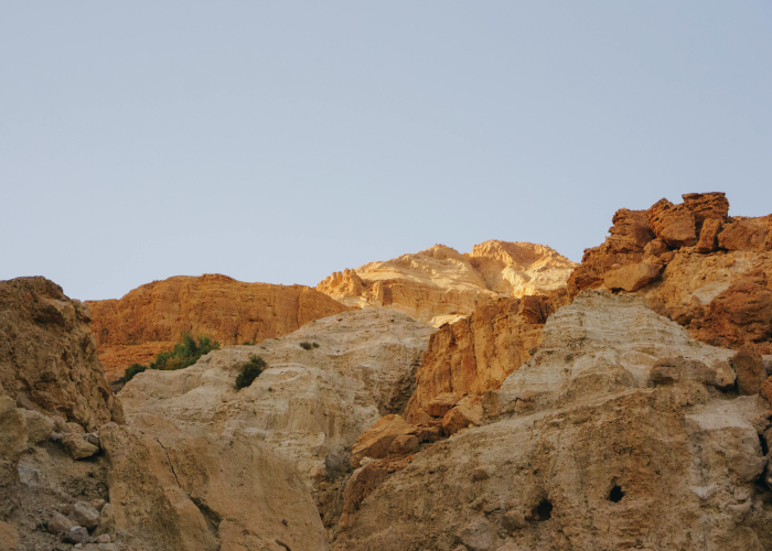 以色列遭疫情反扑（以色列遭疫情反扑的原因是什么）