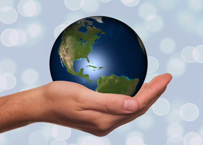 郑州限号政策深度解析，贰0贰肆年最新动态与市民出行全攻略