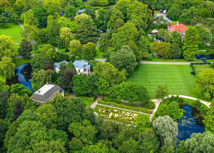 青岛疫情动态追踪，精准防控下的城市韧性展现