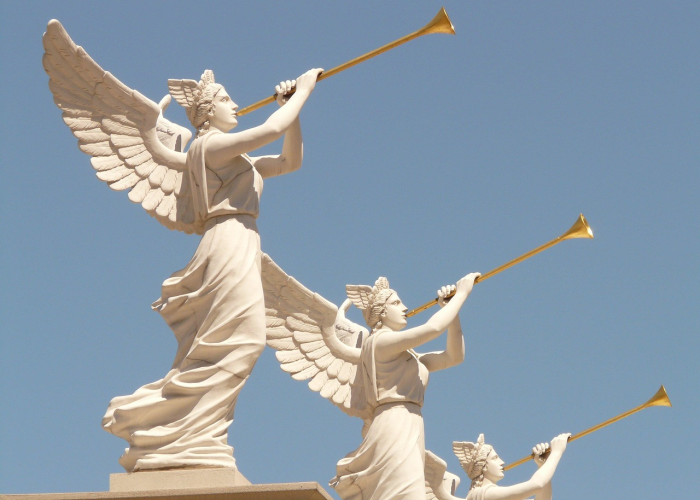 沈阳疫情最新动态，防控升级下的城市坚守与民生温度