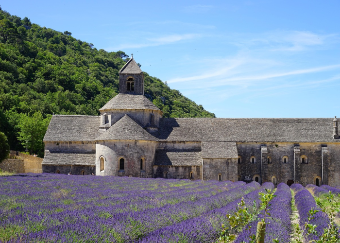 【菏泽疫情最新报道/菏泽疫情实时动态】