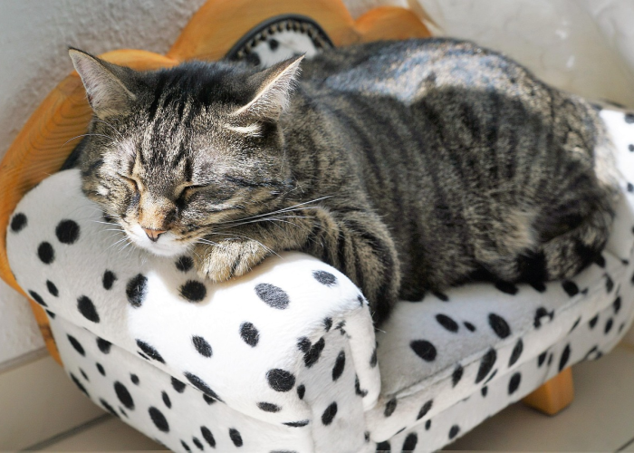 兰州疫情最新动态数据/兰州疫情最新动态数据消息 兰州疫情最新动态数据/兰州疫情最新动态数据消息