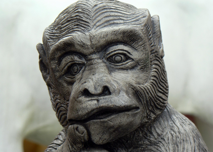 濮阳战疫纪实，最新防控部署与市民生活动态全景透视