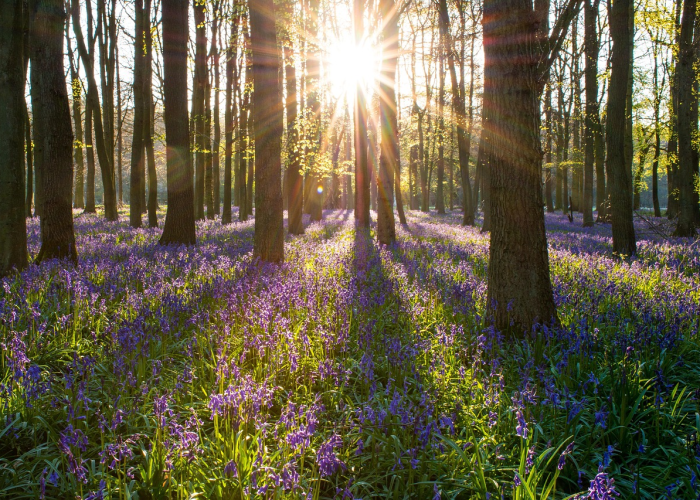 北京最新疫情动态，新增本土病例持续下降，防控措施优化调整显成效