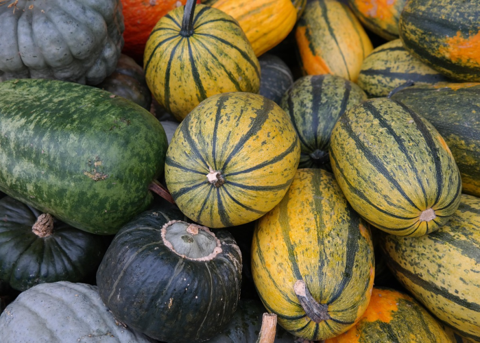 【新冠肺炎最怕2种水果是什么/新冠肺炎最怕2种水果是什么意思】