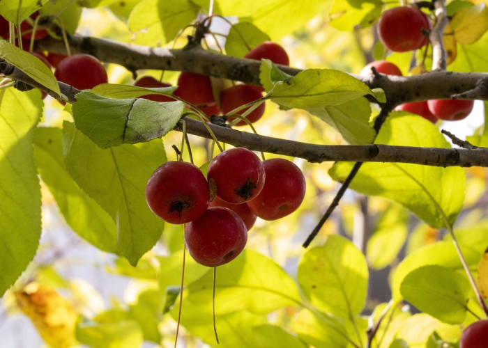 苏州疫情实况:苏州疫情最新动态 苏州疫情实况:苏州疫情最新动态