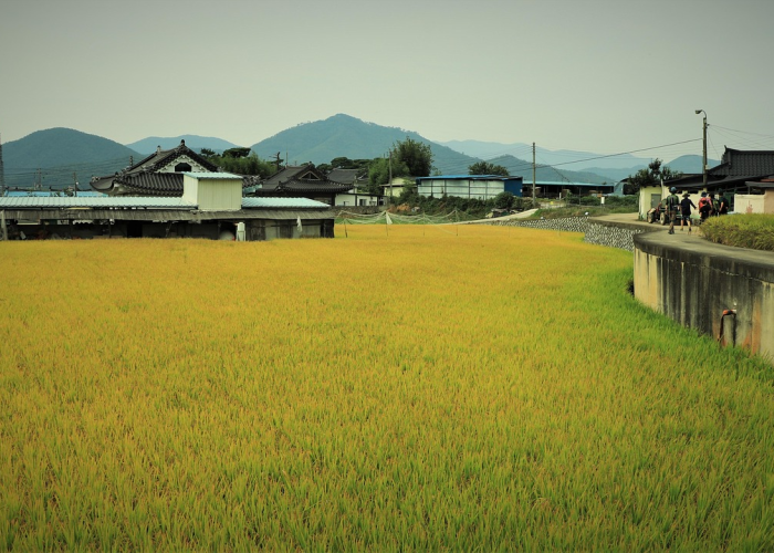 吉林农业科技学院什么时候解封/吉林农业科技学院解封时间 吉林农业科技学院什么时候解封/吉林农业科技学院解封时间