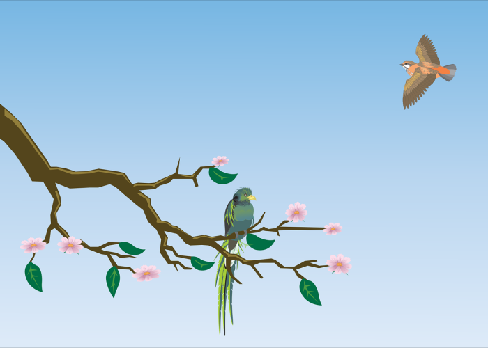 一步三思指什么生肖动物:一步三思的生肖