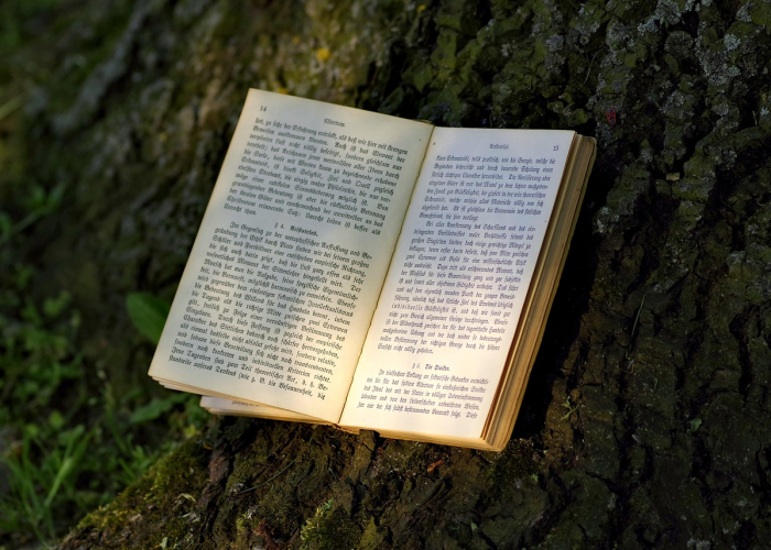 2023年调休(2023假期表法定节假日) 2023年调休(2023假期表法定节假日)