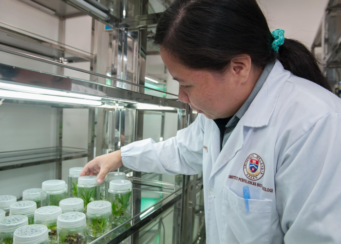 上海核酸检测检查什么:上海核酸检测检查什么内容