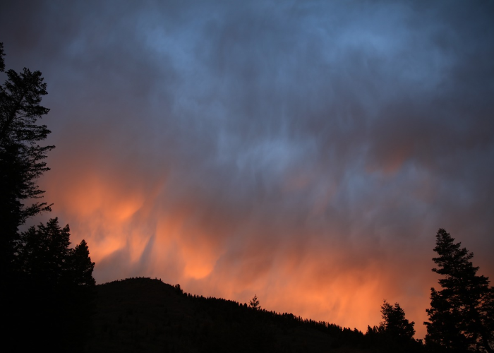 北京3月19事件真相:3月19日 北京 北京3月19事件真相:3月19日 北京