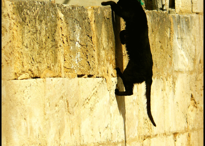 俗语不撞南墙不回头/俗语 不撞南墙不回头 俗语不撞南墙不回头/俗语 不撞南墙不回头