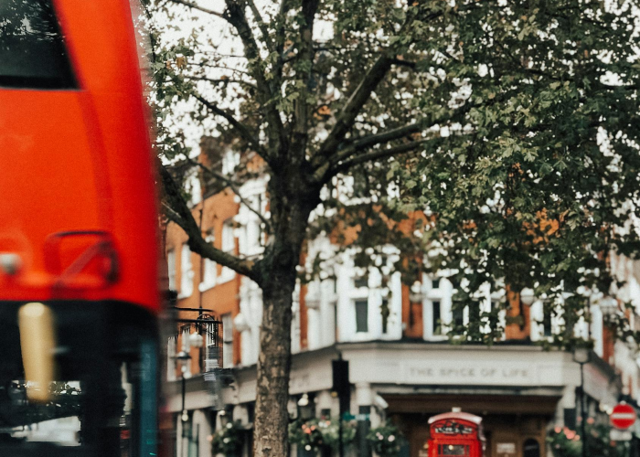 外地牌照在上海市区能开吗/上海外地牌照能在市区走嘛?