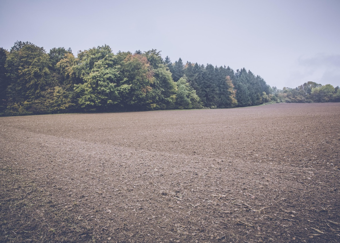 南京地震最新消息刚刚/南京地震最新消息今天
