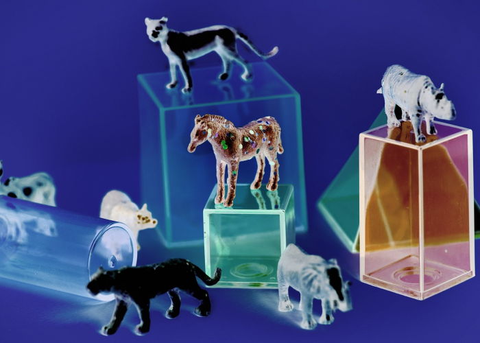 dnf做人偶需要什么材料/dnf人偶制作材料 dnf做人偶需要什么材料/dnf人偶制作材料