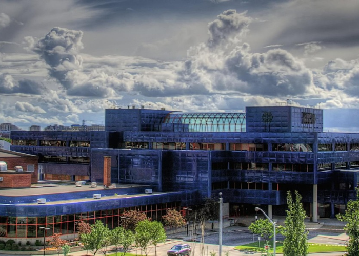 河北省辛集市小学:辛集的小学 河北省辛集市小学:辛集的小学