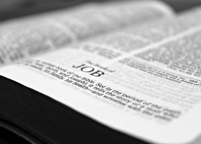 兑换券武器怎么用:兑换礼券 兑换券武器怎么用:兑换礼券