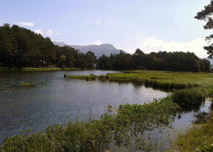 【舟山属于什么省什么市/舟山属于哪个市的啊】 【舟山属于什么省什么市/舟山属于哪个市的啊】