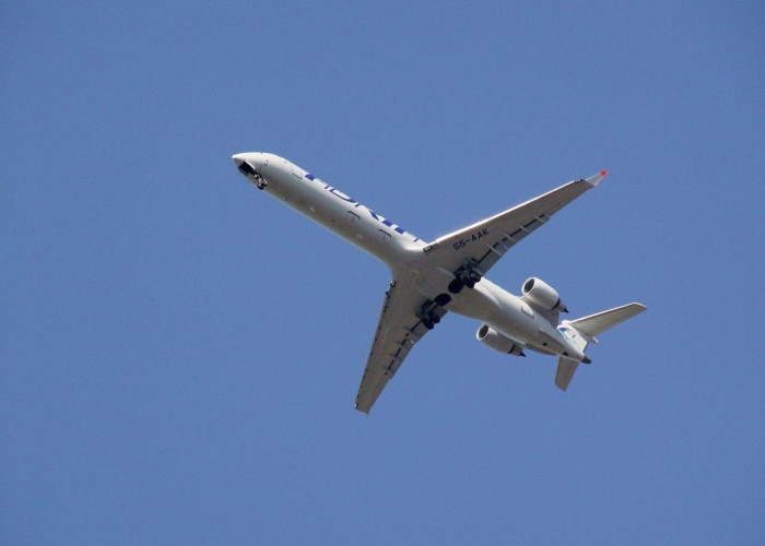 疫情最新数据动态/疫情最新数据消息动态