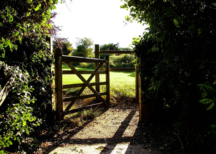 【郑州景区恢复开放,郑州景区恢复开放最新消息】 【郑州景区恢复开放,郑州景区恢复开放最新消息】