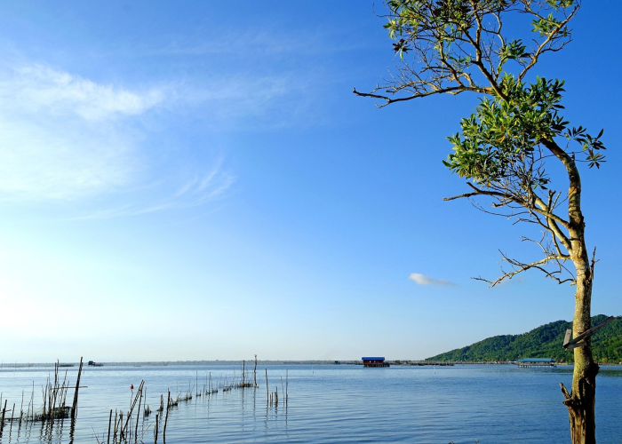 【青海省疫情最新数据,青海省疫情最新动态】 【青海省疫情最新数据,青海省疫情最新动态】