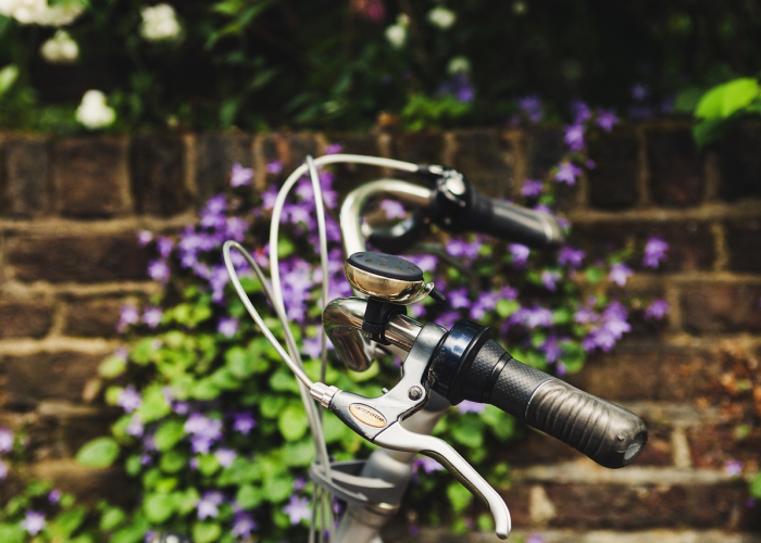 树枝刮花了车怎么办?别慌,这些实用修复技巧帮你轻松应对! 树枝刮花了车怎么办?别慌,这些实用修复技巧帮你轻松应对!