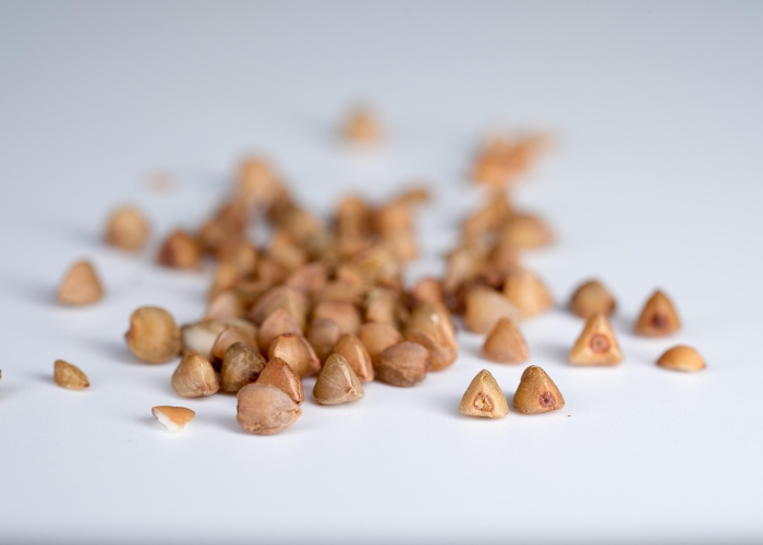 新毒株最新消息:新毒株最新消息症状 新毒株最新消息:新毒株最新消息症状