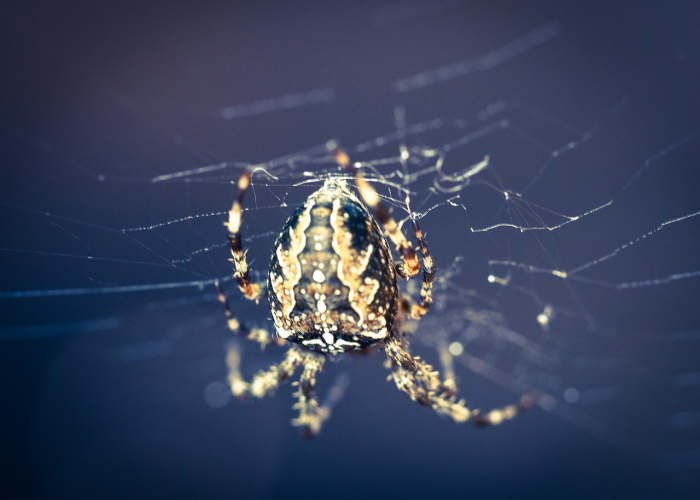 德尔塔毒株发作有什么现状呢:德尔塔毒株的可怕性 德尔塔毒株发作有什么现状呢:德尔塔毒株的可怕性