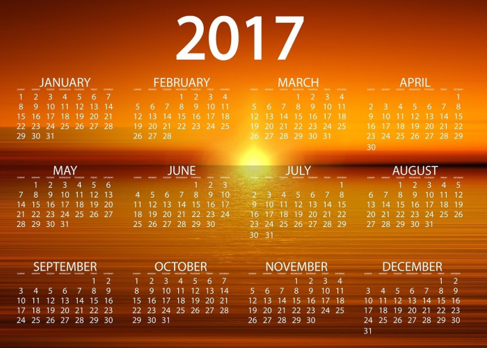 11月8日英语(11月8日英语怎么写) 11月8日英语(11月8日英语怎么写)