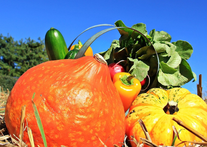 新发地疫情毒株/新发地疫情毒株有哪些 新发地疫情毒株/新发地疫情毒株有哪些