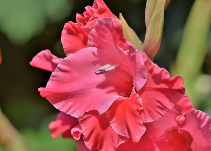 2021年4月本土疫情(2021年4月1日全国疫情报告情况) 2021年4月本土疫情(2021年4月1日全国疫情报告情况)