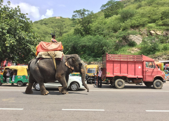 【富士康员工徒步返乡大货车无偿帮助/富士康员工能开车进厂区吗】 【富士康员工徒步返乡大货车无偿帮助/富士康员工能开车进厂区吗】