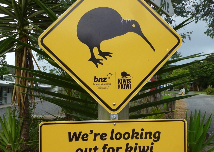 【今年端午节高速免费不?,今年端午节高速有免费吗?】