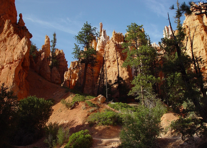 中国五大高原,壮丽地貌与人文风情的自然交响 中国五大高原,壮丽地貌与人文风情的自然交响