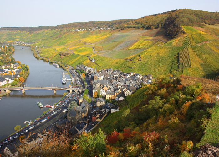 东莞战疫全景透视,从制造名城到防疫堡垒的硬核蜕变 东莞战疫全景透视,从制造名城到防疫堡垒的硬核蜕变