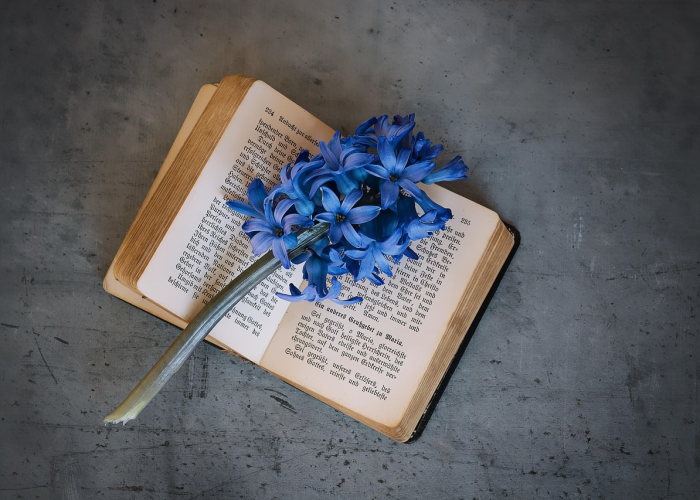 北京笔记本阳性:北京阳性患者