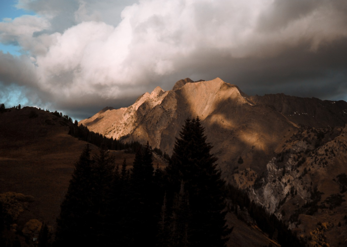 云开疫散见虹霓,张家界全域常态防控下的旅游复苏新图景 云开疫散见虹霓,张家界全域常态防控下的旅游复苏新图景