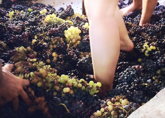 【一直咳嗽是新型冠状病毒/一直咳嗽是不是新冠病毒】 【一直咳嗽是新型冠状病毒/一直咳嗽是不是新冠病毒】