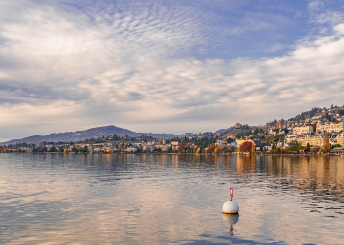 阿拉尔最新消息:阿拉尔最新消息今天 阿拉尔最新消息:阿拉尔最新消息今天