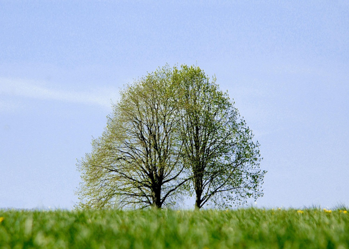 【湖南肺炎最新进展/湖南肺炎实时动态】 【湖南肺炎最新进展/湖南肺炎实时动态】