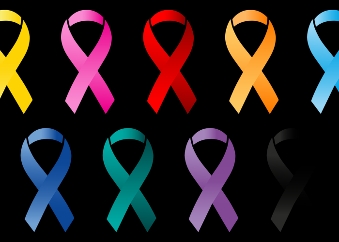 沈阳输入性新型冠状病毒/沈阳新型冠状病毒肺炎 沈阳输入性新型冠状病毒/沈阳新型冠状病毒肺炎